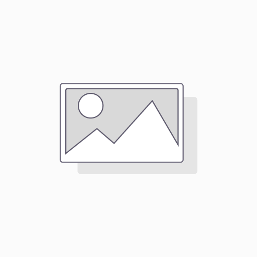 Project Management – Advanced Techniques